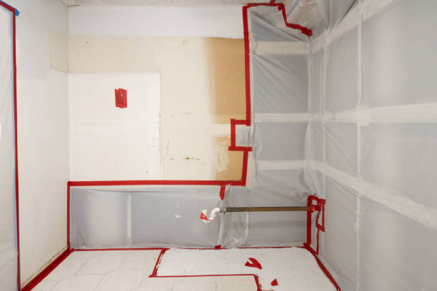 Best Indoor Air Quality Assessment  in Corrigan, TX